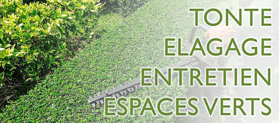 Photo illustration tonte élagage entretien des espaces verts DEBARRE Jean DJ-MultiServices